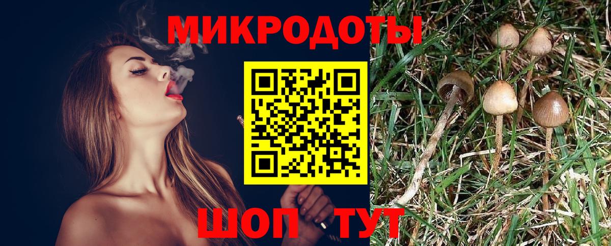 Галлюциногенные грибы GOLDEN TEACHER Дивногорск