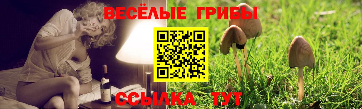 Галлюциногенные грибы ЛСД  Вход с VPN  Дивногорск 
