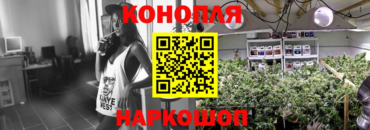 Бошки Шишки тримм Дивногорск